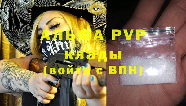 МДПВ Снежногорск