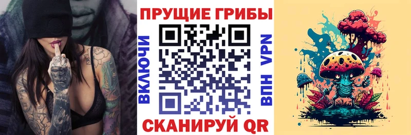 где можно купить наркотик  Мантурово  Галлюциногенные грибы Magic Shrooms 
